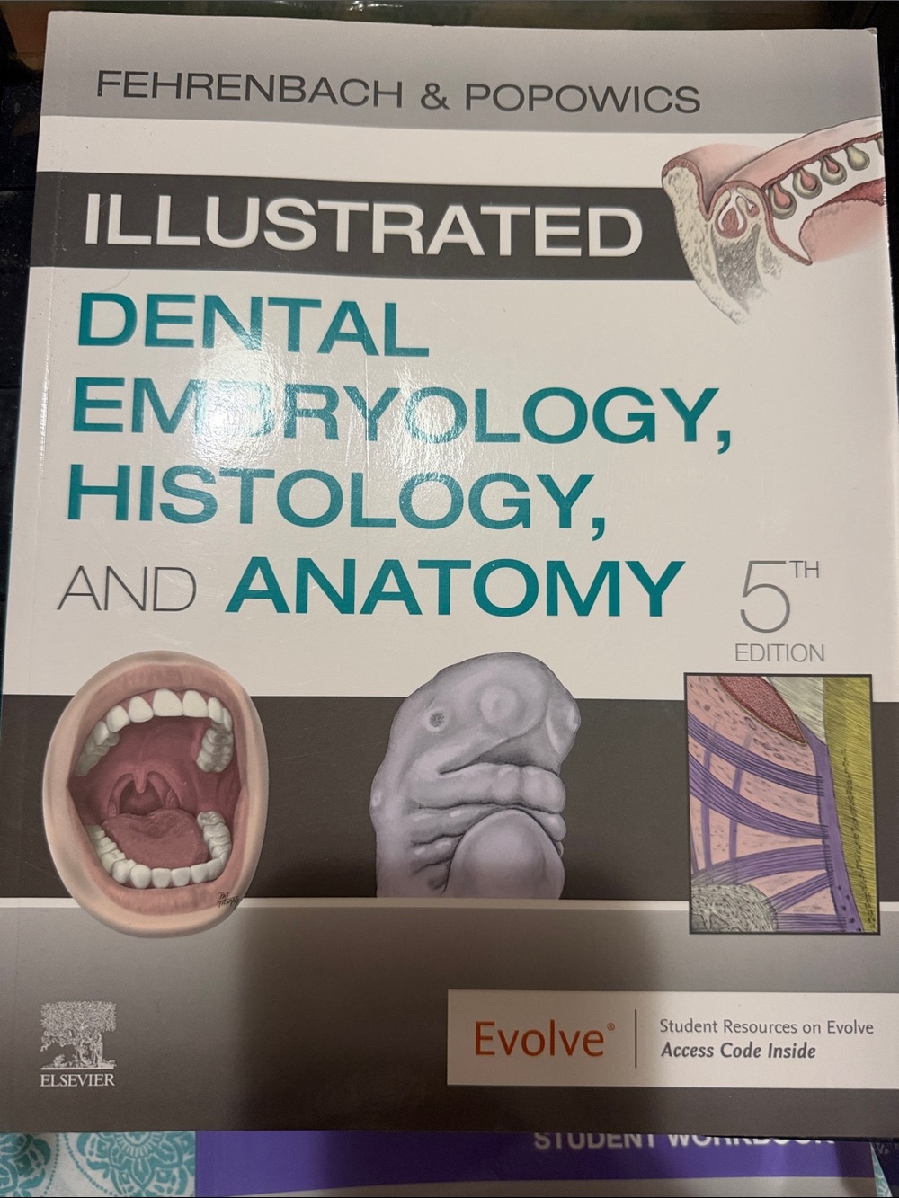 Illustrated Dental Embryology, Histology, and Anatomy — Teal/Cream